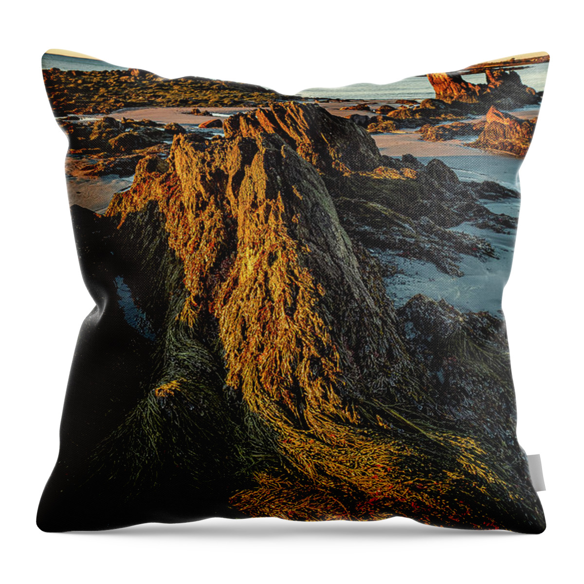 New Hampshire Throw Pillow featuring the photograph Seaweed Over Rocks At Low Tide, Fort Foster. by Jeff Sinon