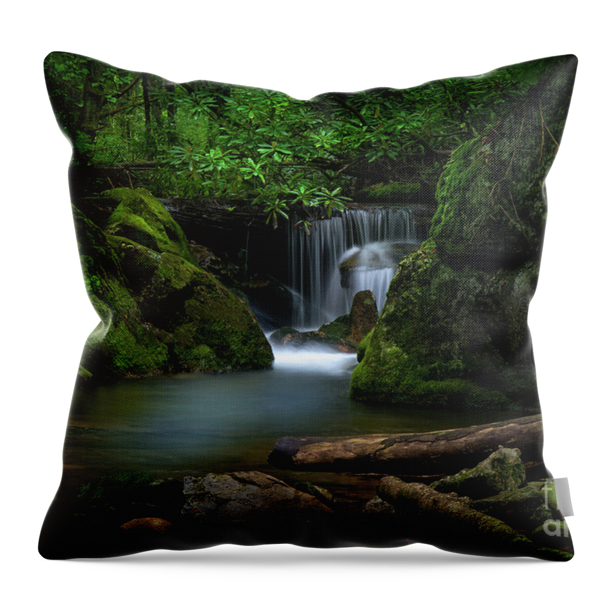 Secluded Throw Pillow featuring the photograph Secluded Waterfall by Shelia Hunt
