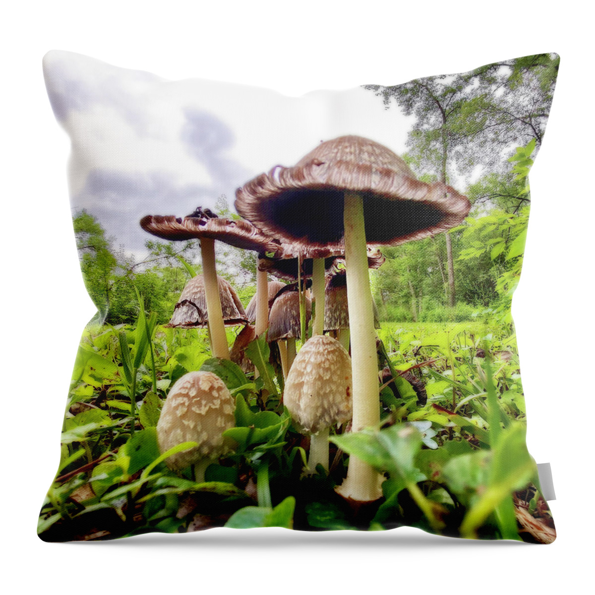 Shaggy Mane Throw Pillow featuring the photograph Secret World - clump of Shaggy Mane mushrooms in forest by Peter Herman