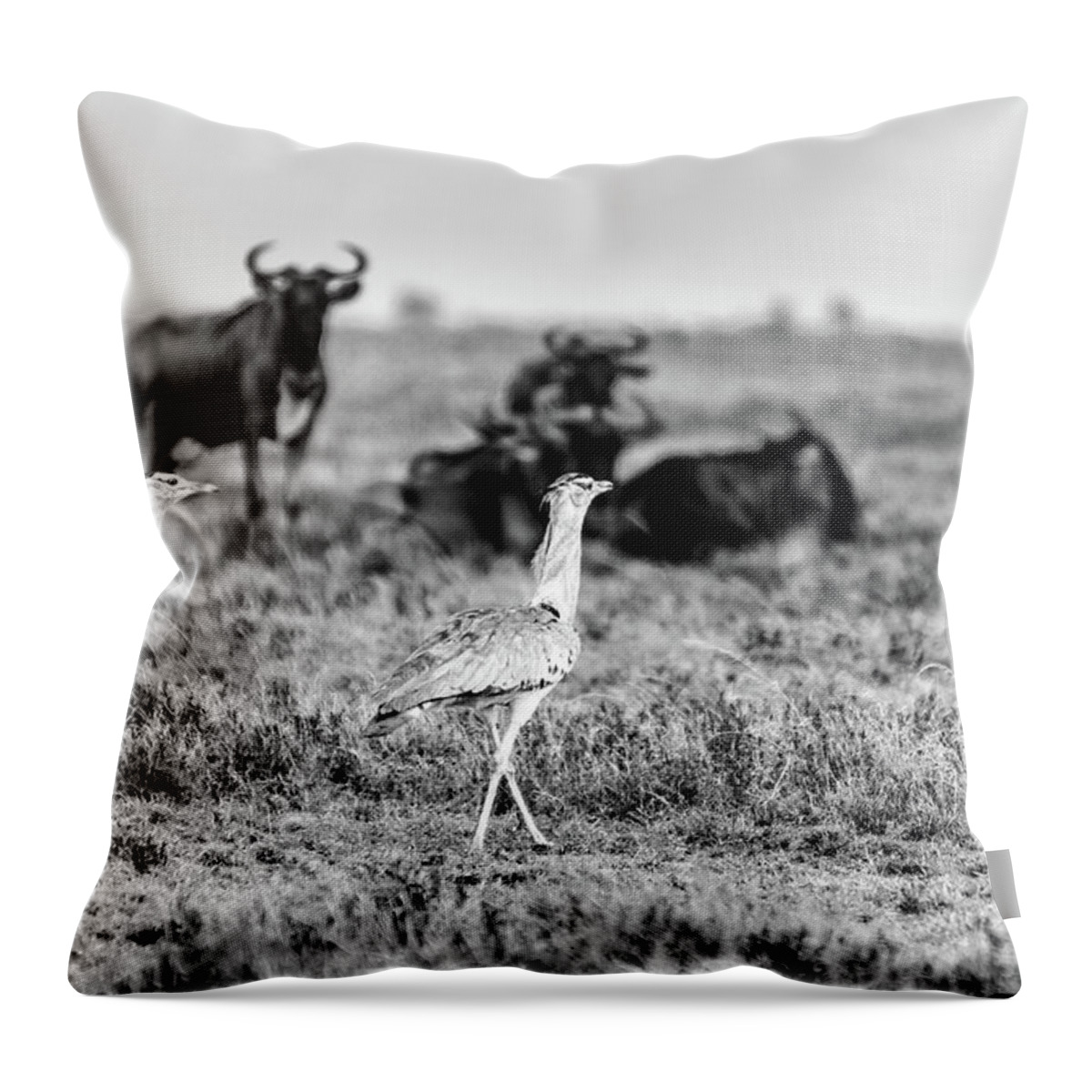 Savannah Throw Pillow featuring the photograph Secretary Birds on an Evening Walk BW by Adrian O Brien