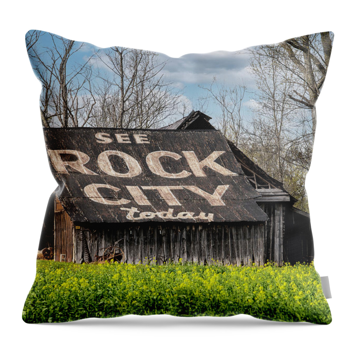 Alabama Throw Pillow featuring the photograph See Rock City Barn by Andy Crawford