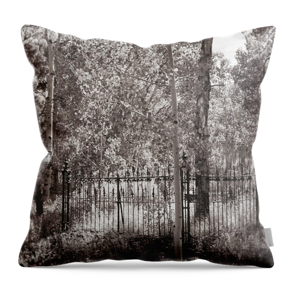 Light Through Trees Throw Pillow featuring the photograph See the Light by Cathy Anderson