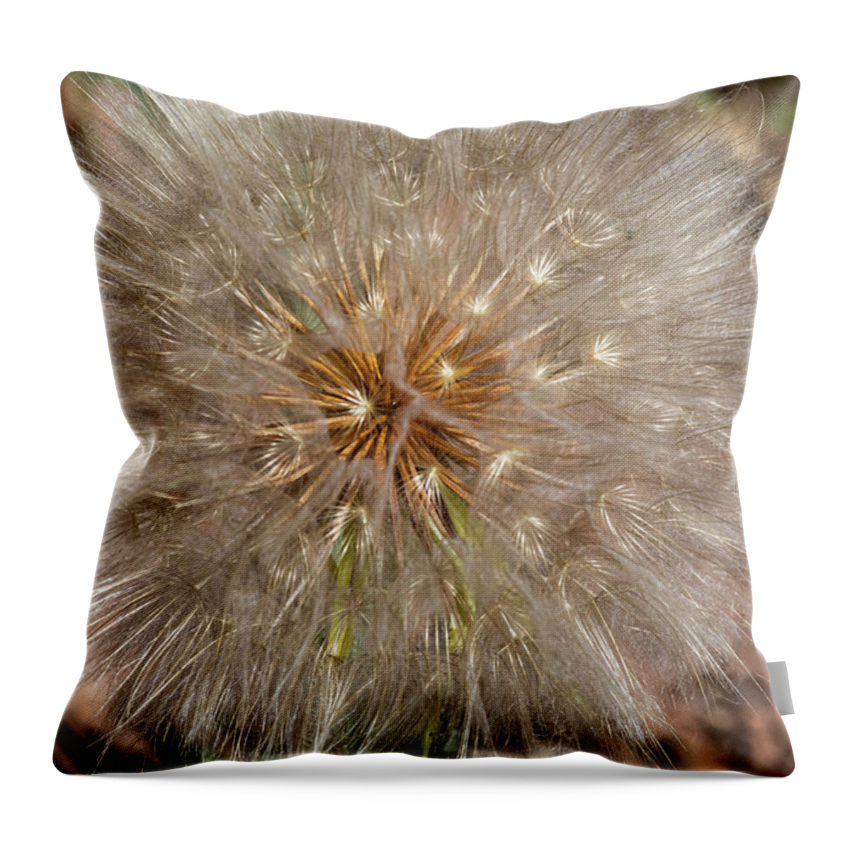 Moab Throw Pillow featuring the photograph Seed Pod Reflections by Dan Norris