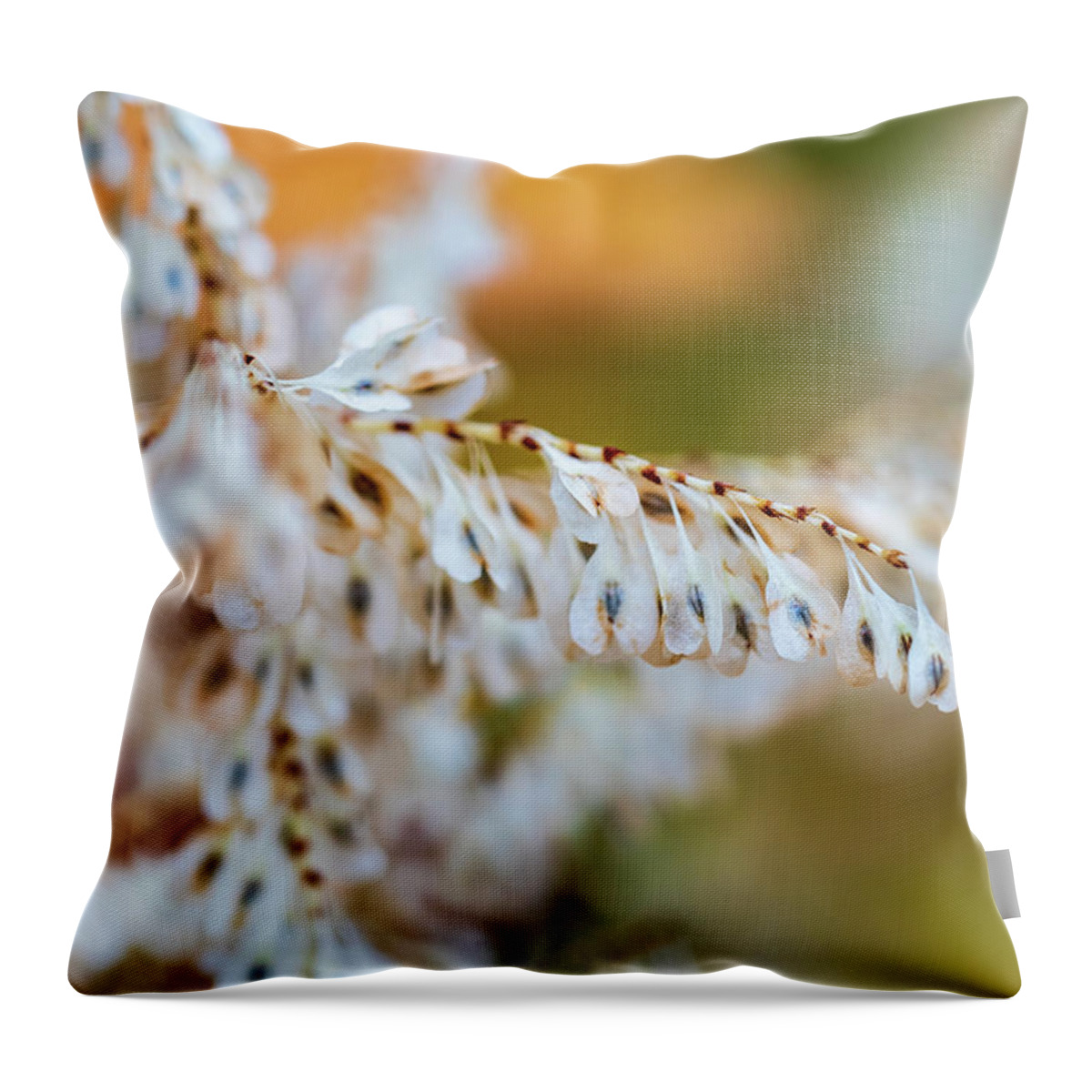 Nature Throw Pillow featuring the photograph Seed Pods by Amelia Pearn