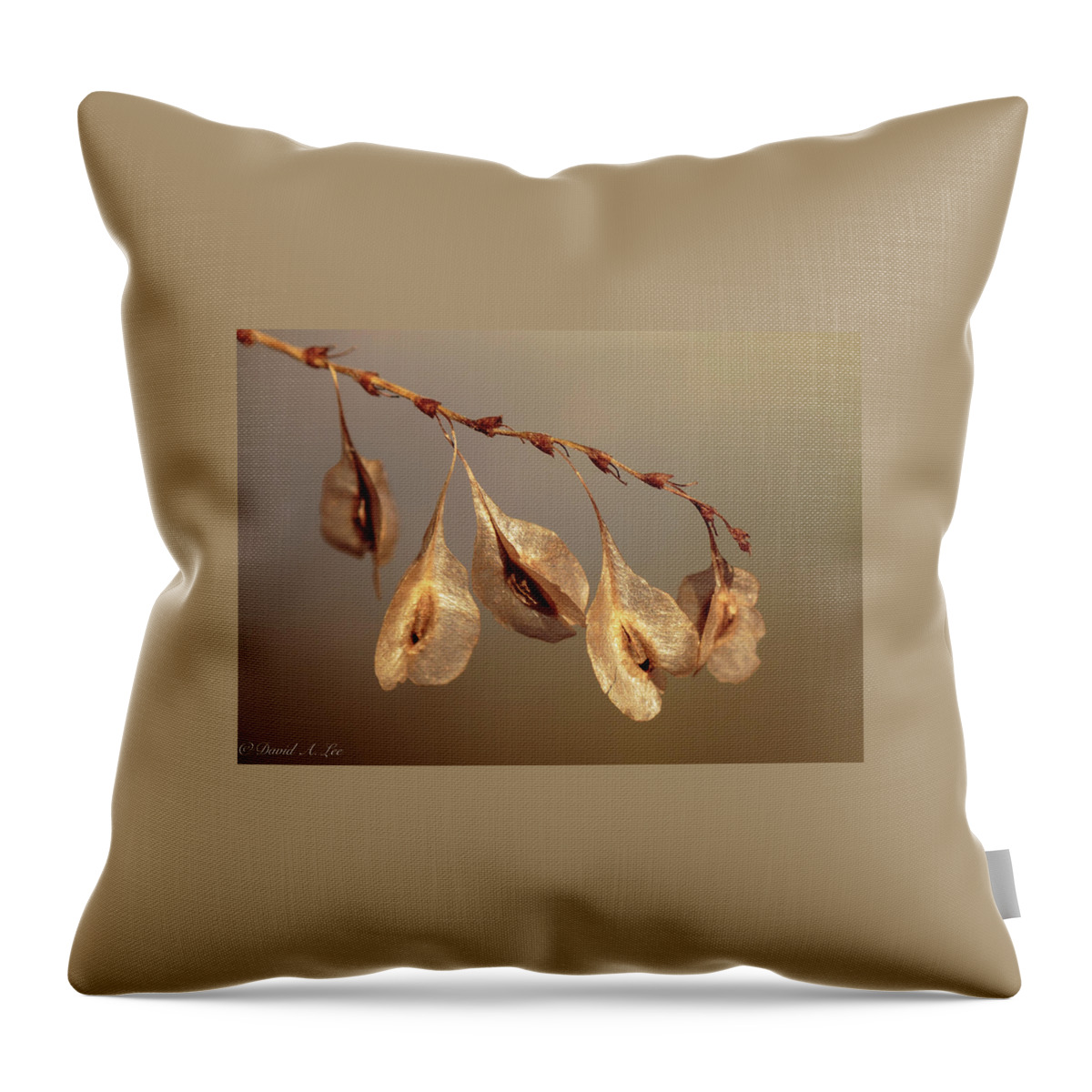 Flowers Throw Pillow featuring the photograph Seed Pods by David Lee