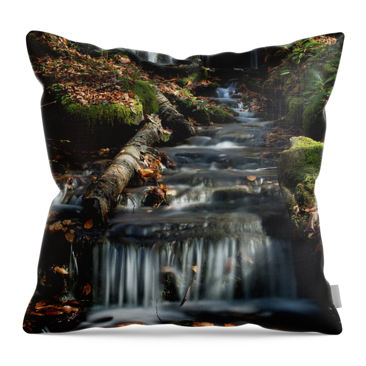 West Throw Pillow featuring the photograph Seneca Creek Waterfall by Carolyn Hutchins