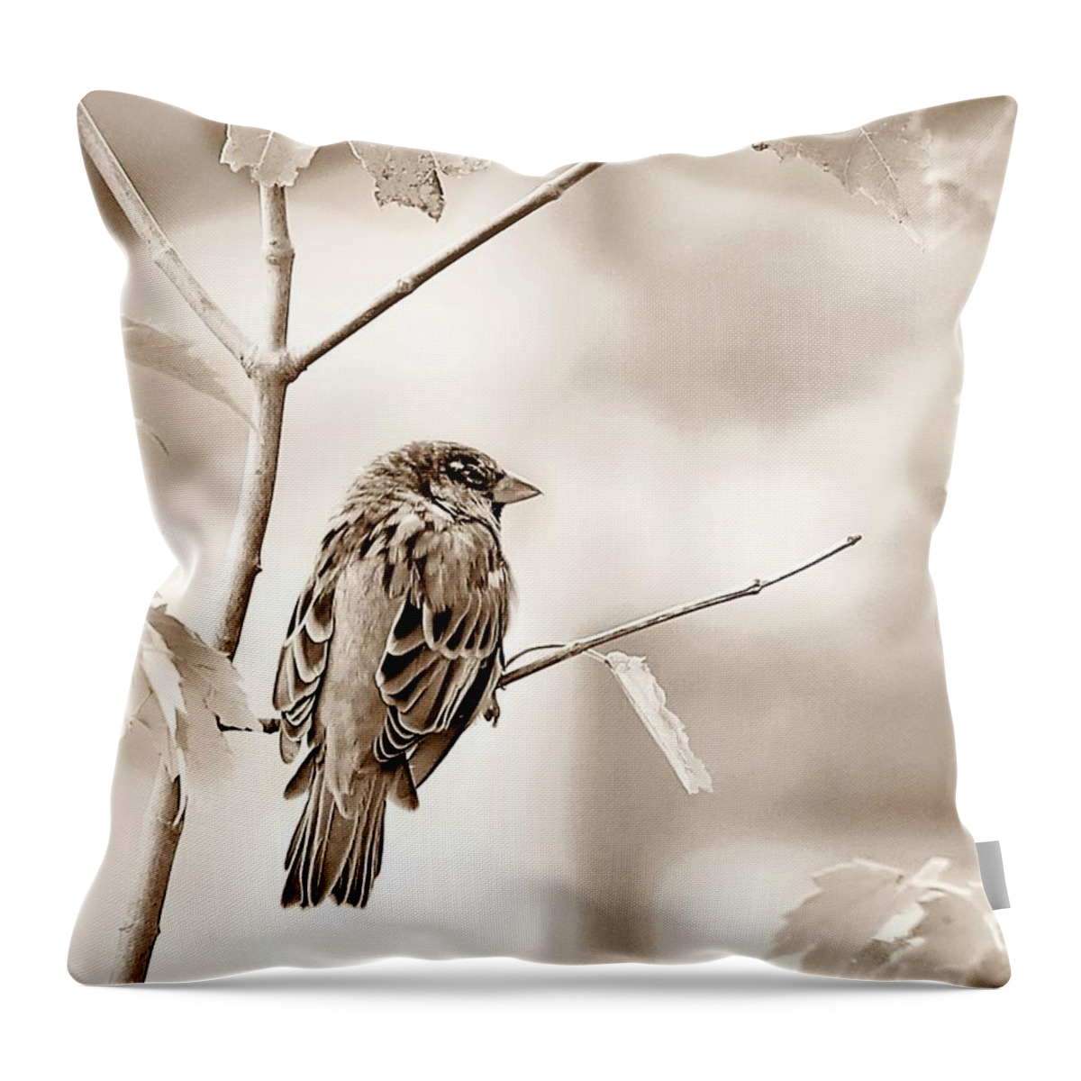 Sepia Throw Pillow featuring the photograph Sepia Sparrow by Lori Lafargue