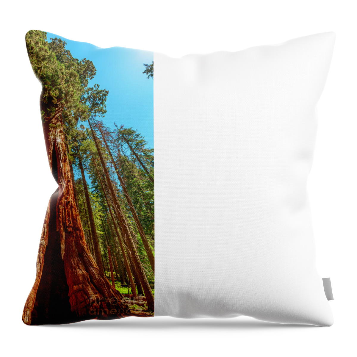 California Throw Pillow featuring the photograph sequoia tree in Sequoia NP by Benny Marty