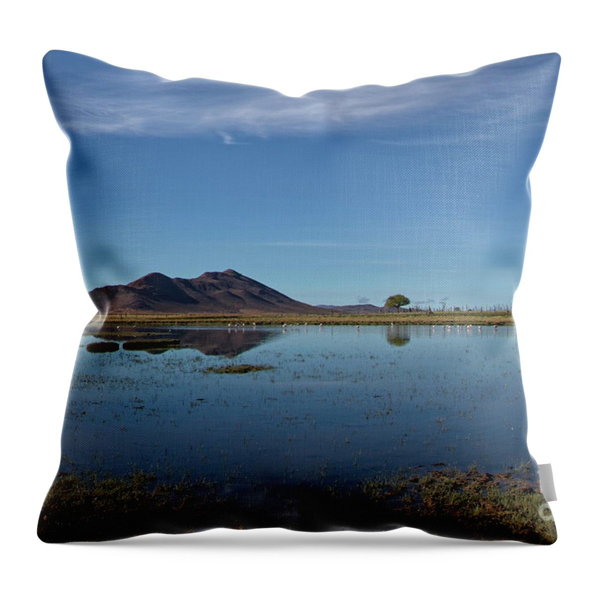 Flamingoes Throw Pillow featuring the photograph Serenity - flamingoes on a lake in NW Argentina. by Tony Mills