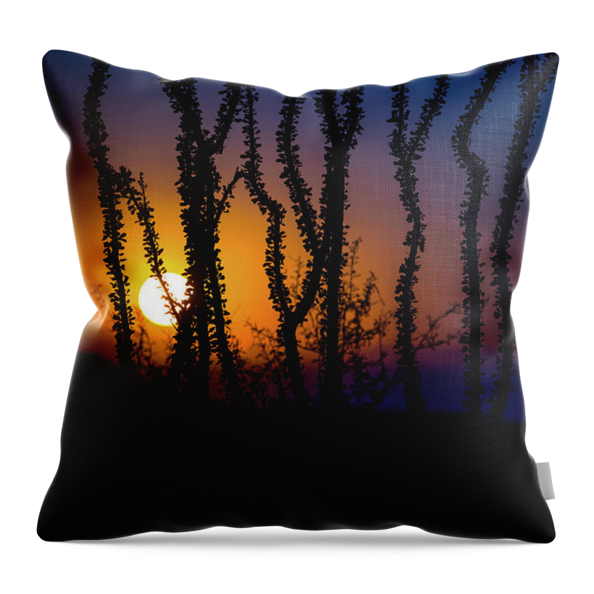 Sun Throw Pillow featuring the photograph Setting Sun by Lisa Manifold