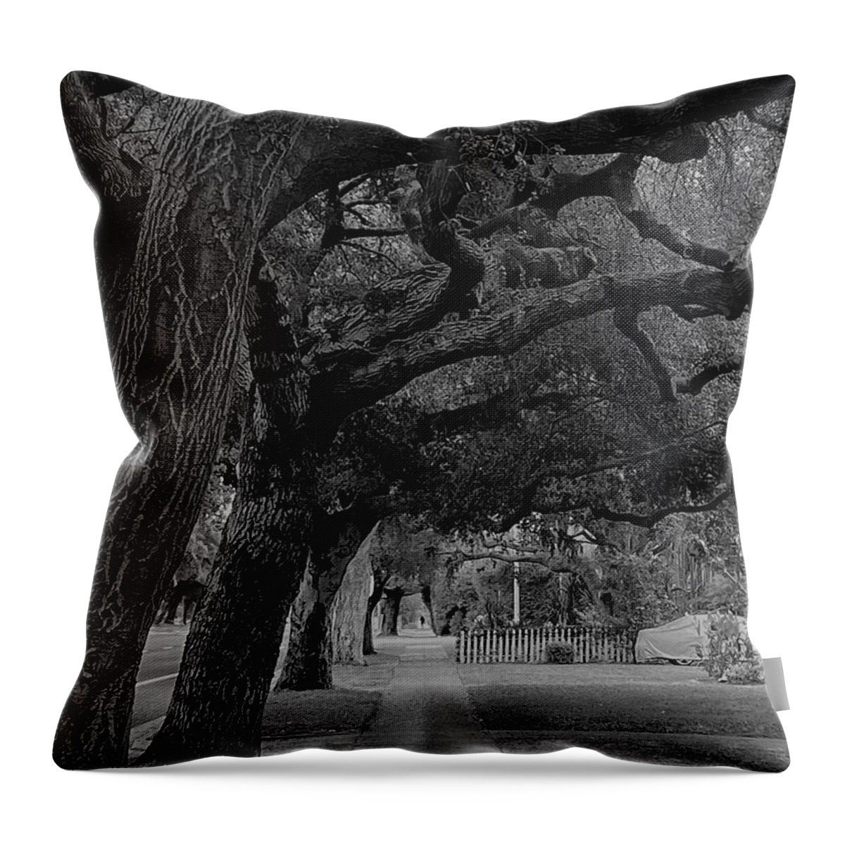 Tree Throw Pillow featuring the photograph Shade If Needed by Calvin Boyer