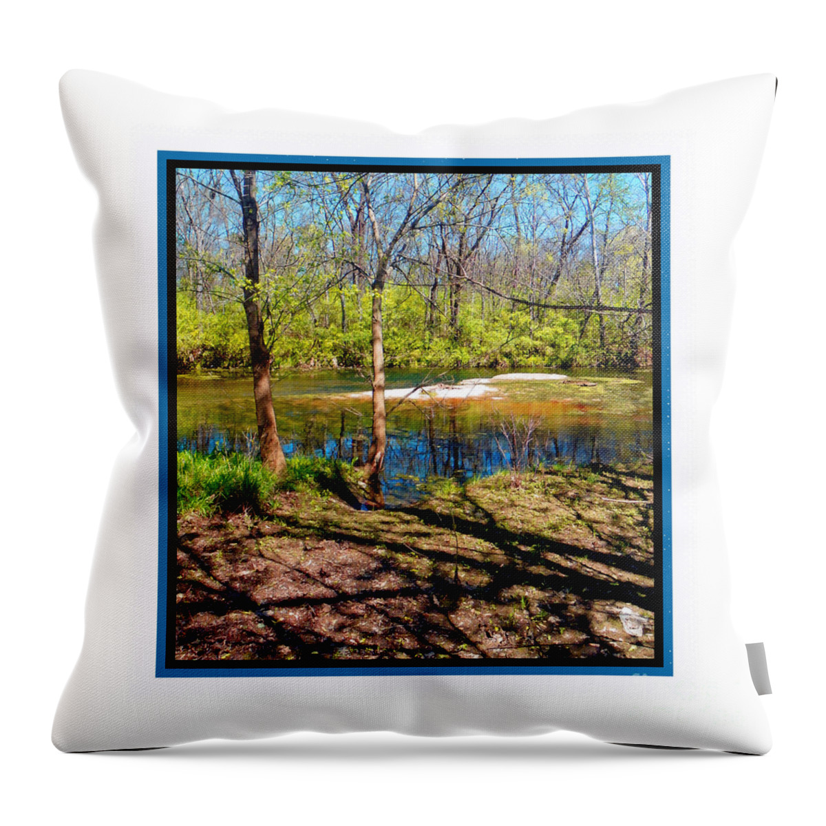  Throw Pillow featuring the photograph Shadow Branches by Shirley Moravec