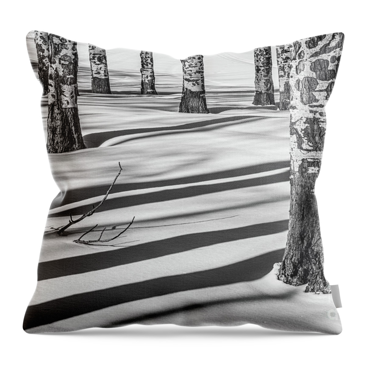Shadow Throw Pillow featuring the photograph Shadowland 2 by Melissa Lipton