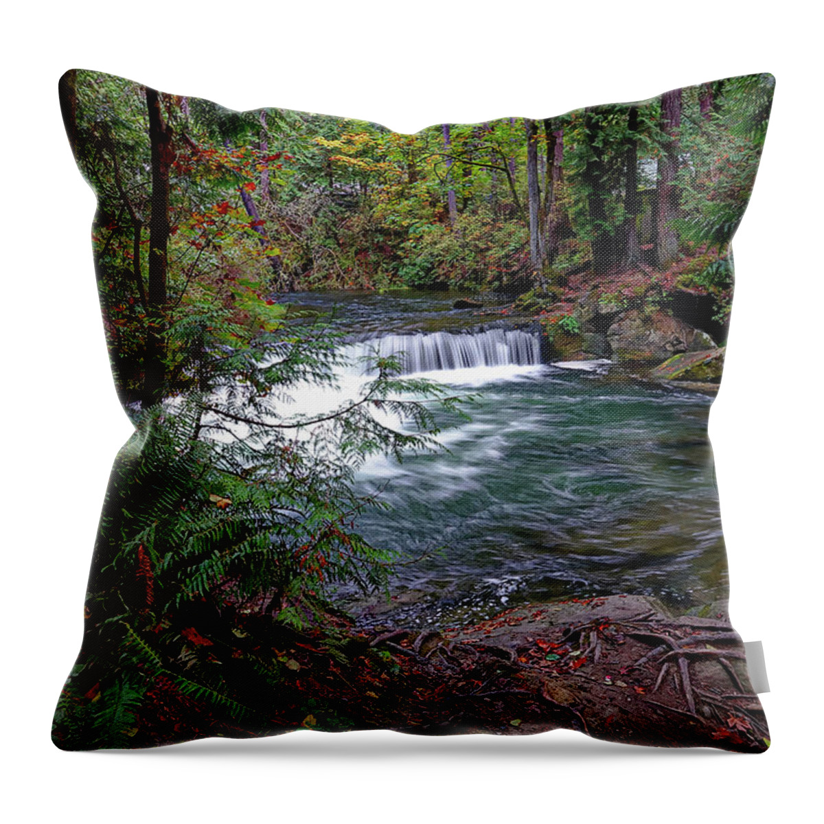 Waterfall Throw Pillow featuring the photograph Shady Falls by Rick Lawler