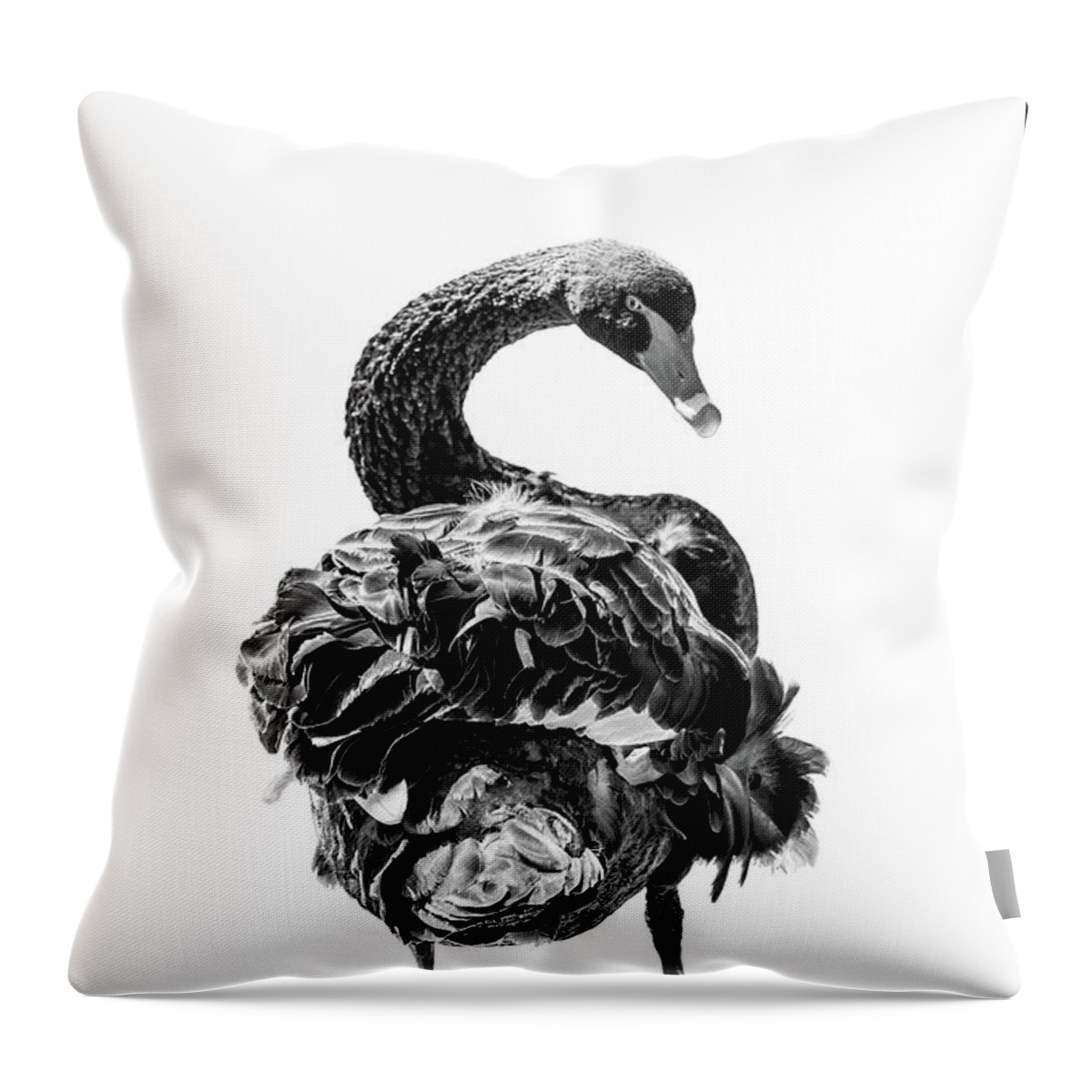 Black Swan Throw Pillow featuring the photograph Shake Your Tail Feathers by Az Jackson