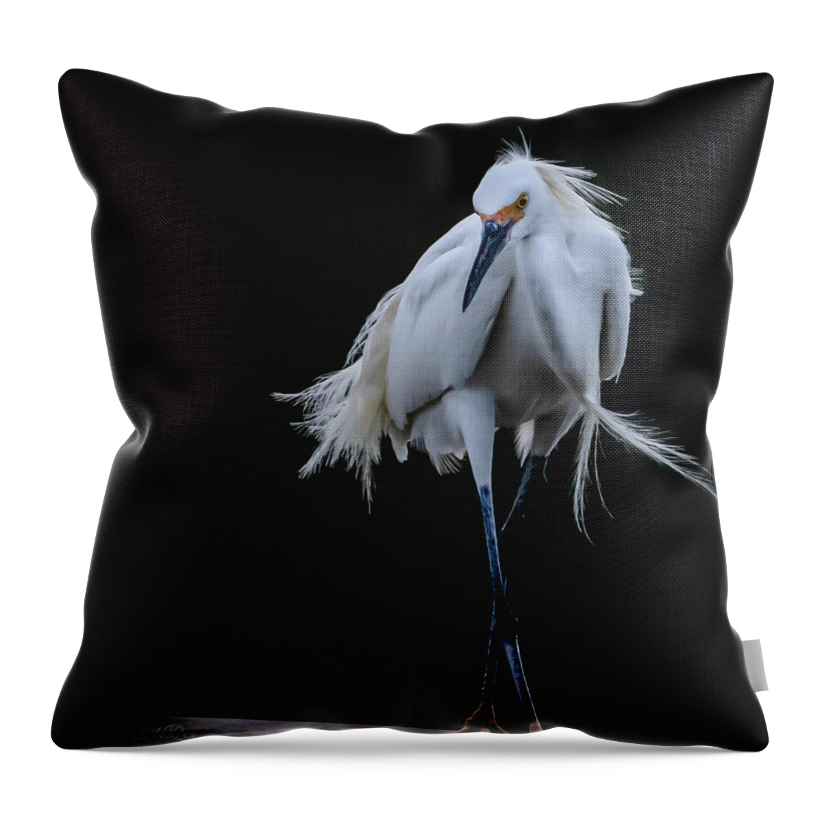 Bird Throw Pillow featuring the photograph Shall We Dance by Shara Abel