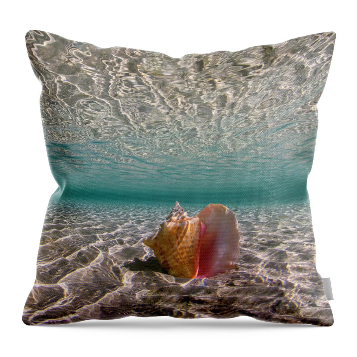 Shell Throw Pillow featuring the photograph Shallow Conch by Tanya G Burnett