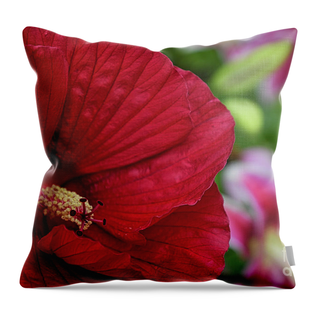 Flower Throw Pillow featuring the photograph Sharp Hibiscus Flower by Amy Dundon