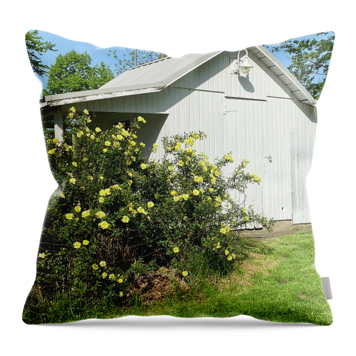  Throw Pillow featuring the painting Shed by Anitra Boyt