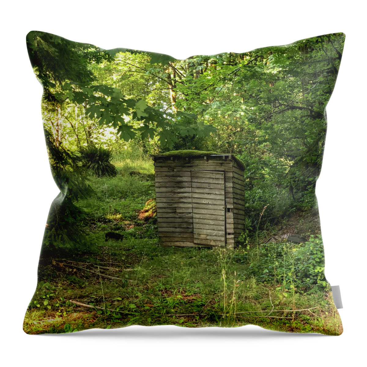 Wood Shed Throw Pillow featuring the photograph Shed at Joy Lake by Grey Coopre