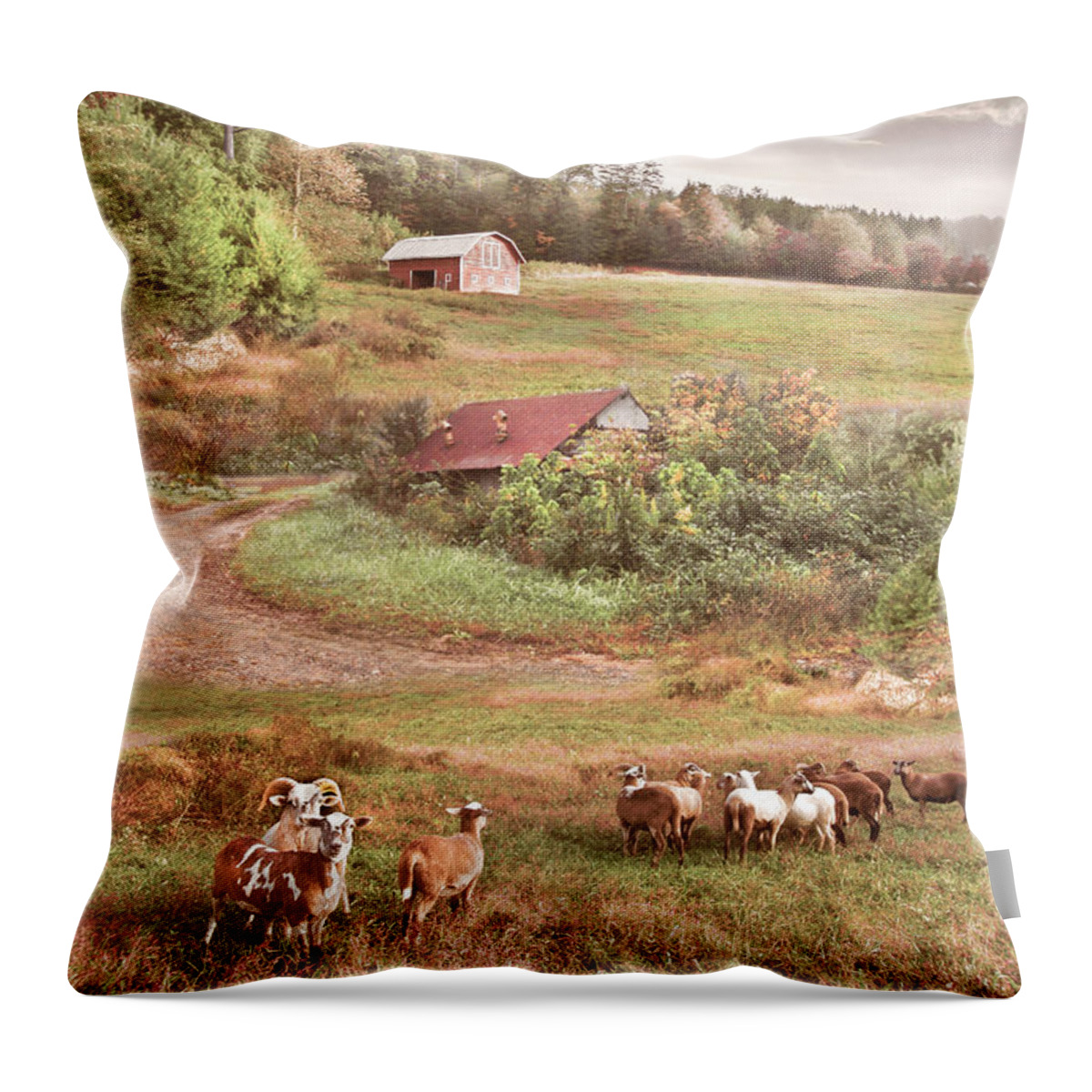 Animals Throw Pillow featuring the photograph Sheep on the Country Farm by Debra and Dave Vanderlaan