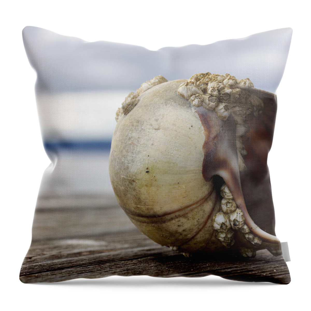 Shell Throw Pillow featuring the photograph Shell 2 by Carol Jorgensen