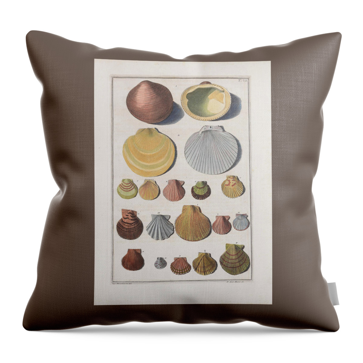 Sea Shells Throw Pillow featuring the digital art Shells -1742 by Kim Kent