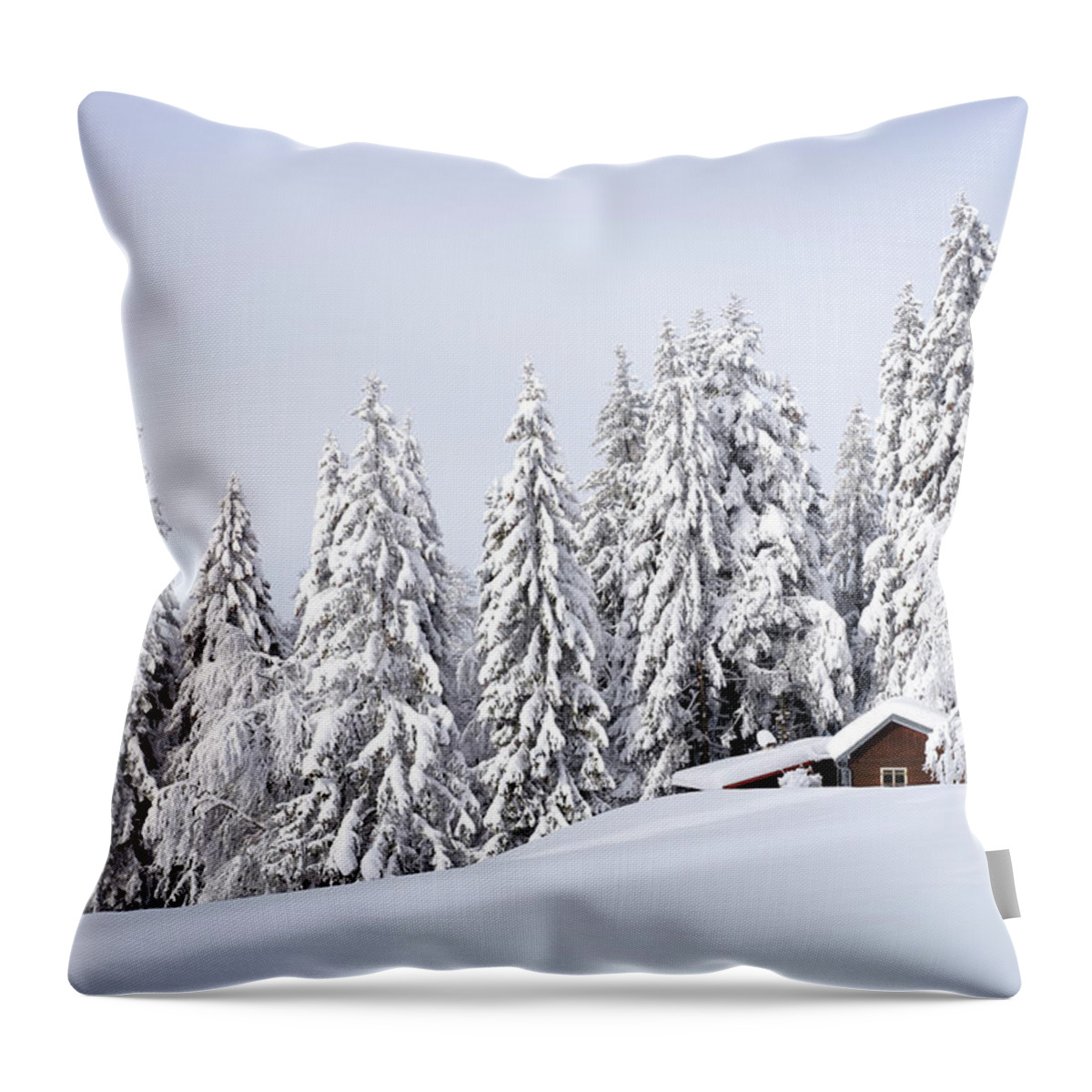 Chalet Throw Pillow featuring the photograph Sheltered by Dominique Dubied