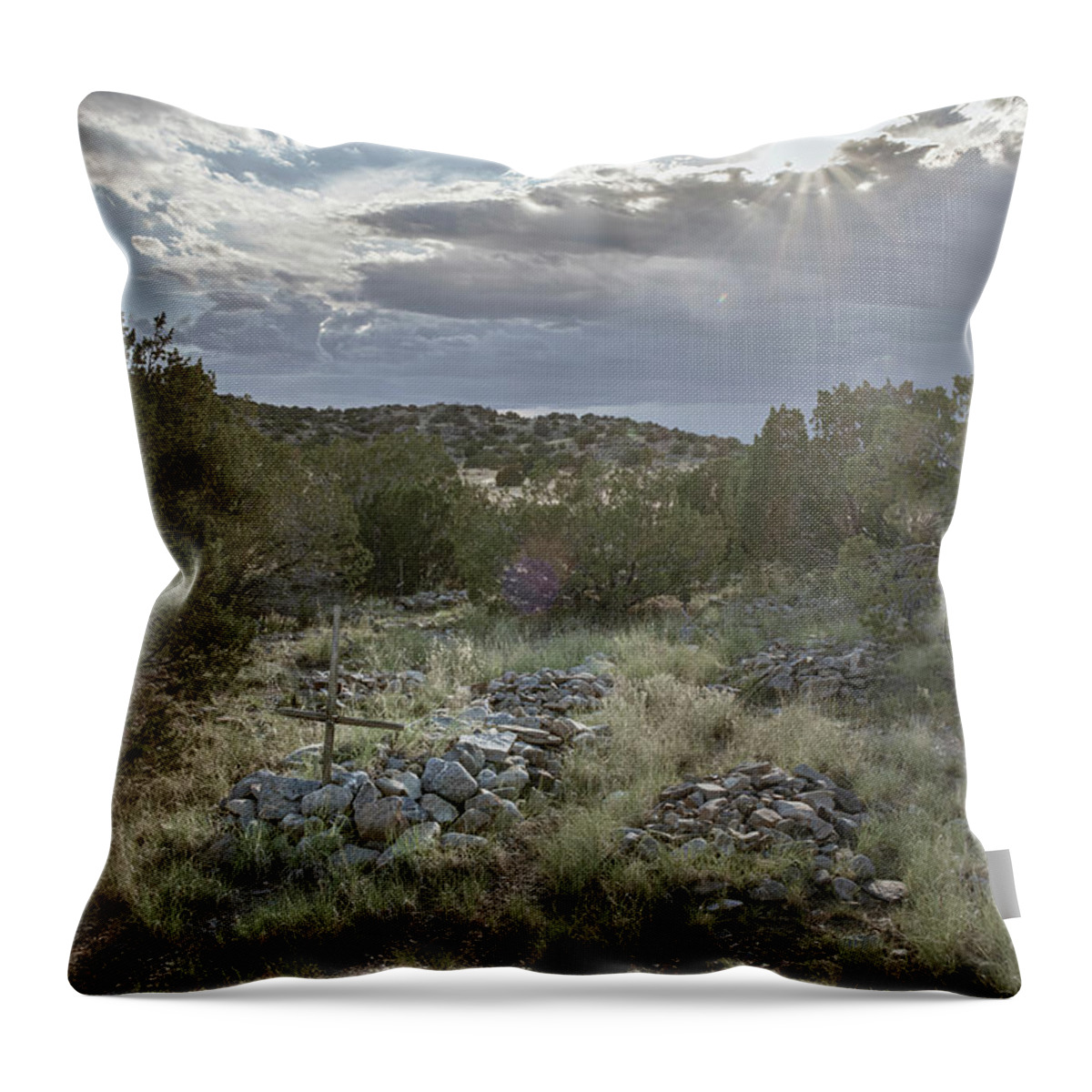 Landscapes Throw Pillow featuring the photograph Shine On by Mary Lee Dereske