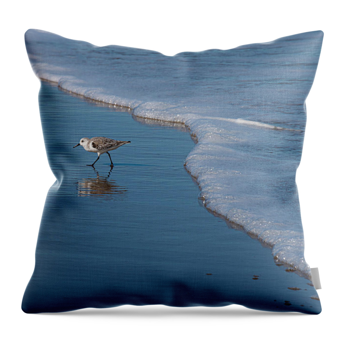 Ocean Throw Pillow featuring the photograph Shore Bird by Phil And Karen Rispin