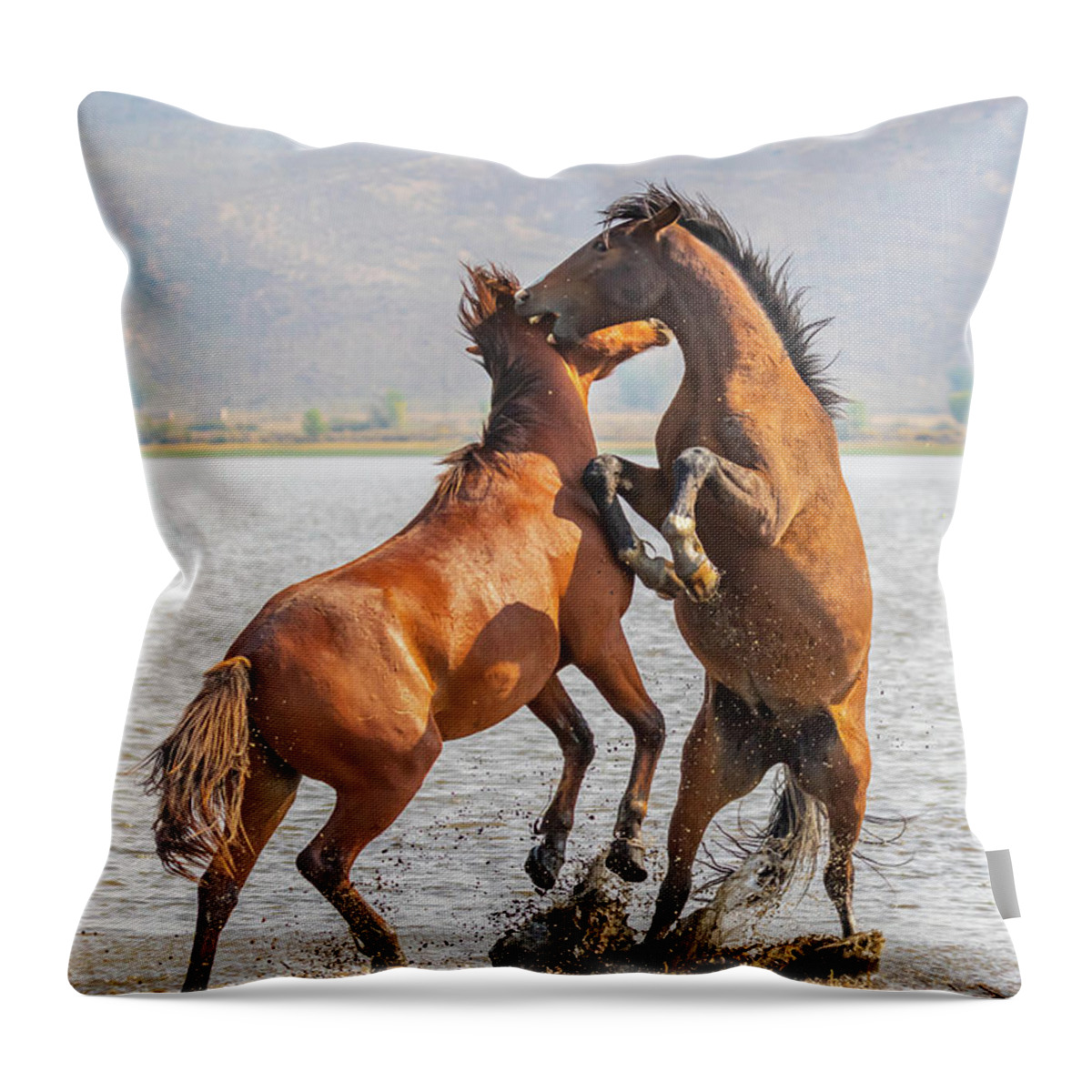Nevada Throw Pillow featuring the photograph Shoreline Fight by Marc Crumpler