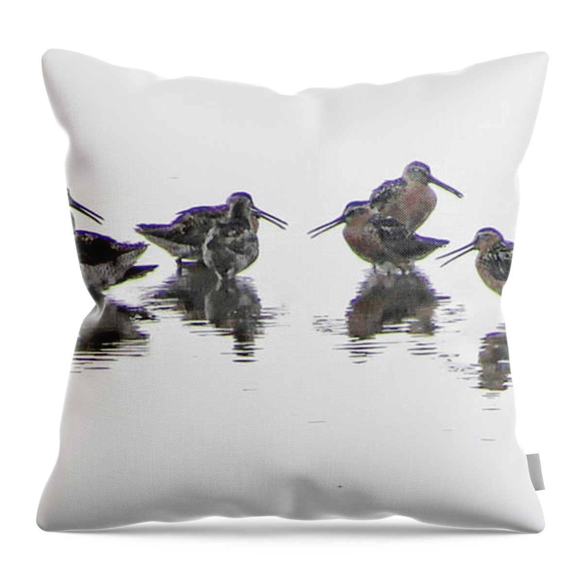 Birds Throw Pillow featuring the photograph Short-Billed Dowitchers by Suzanne Stout
