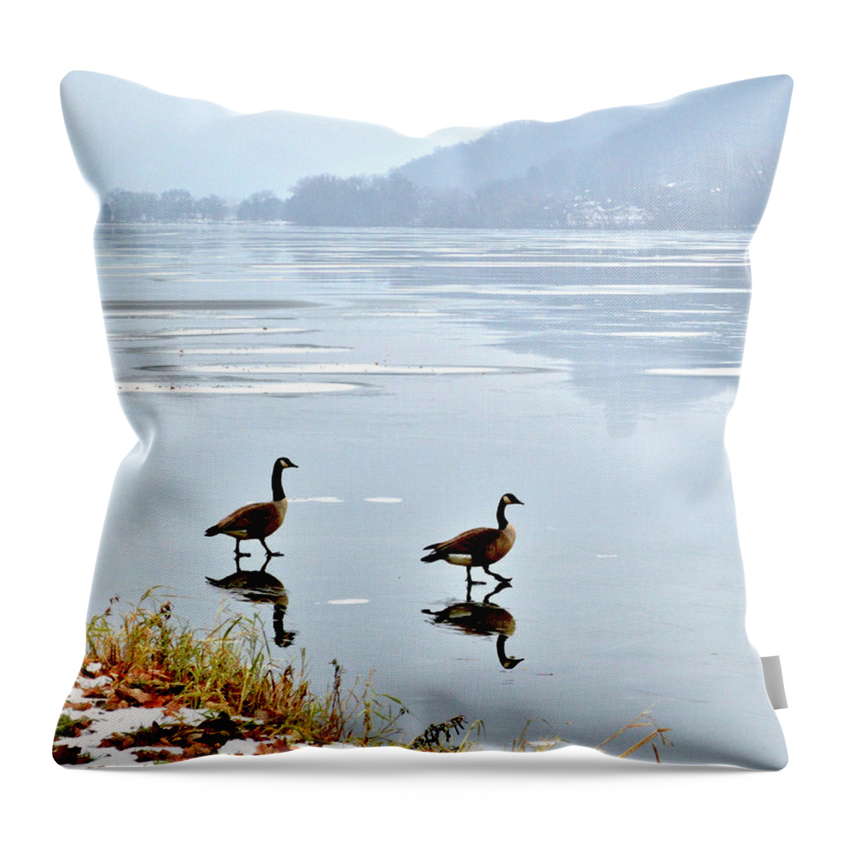 Geese Throw Pillow featuring the photograph Shortcut by Susie Loechler