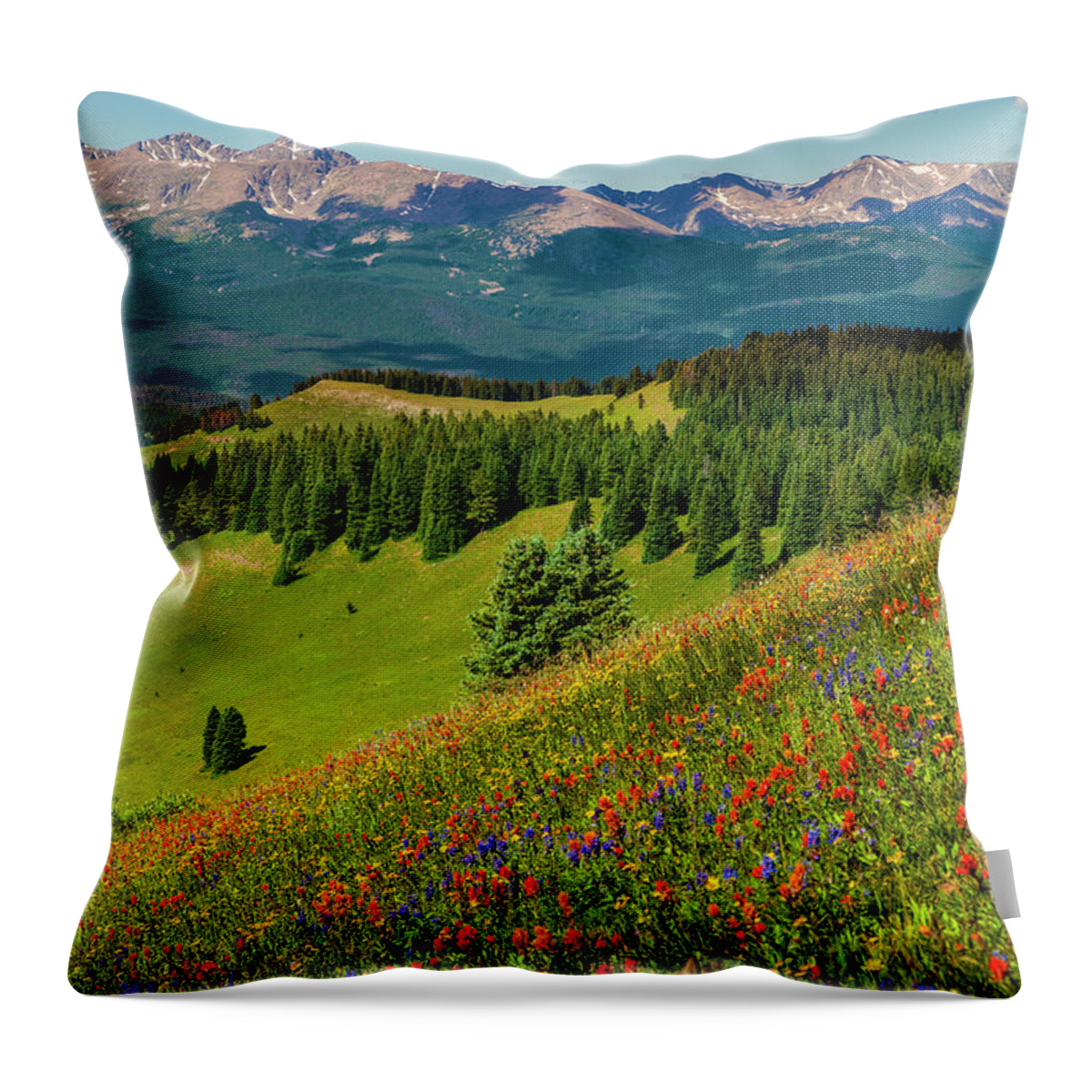 Mountains Throw Pillow featuring the photograph Shrine Pass View of the Mount of the Holy Cross by Fred J Lord