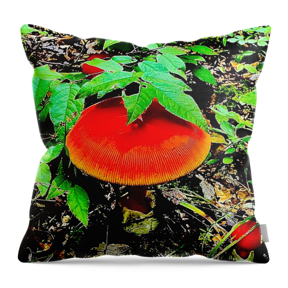 Southern Tier Western New York Frewsburg Usa Cabin Living Throw Pillow featuring the photograph Shrooms by John Anderson