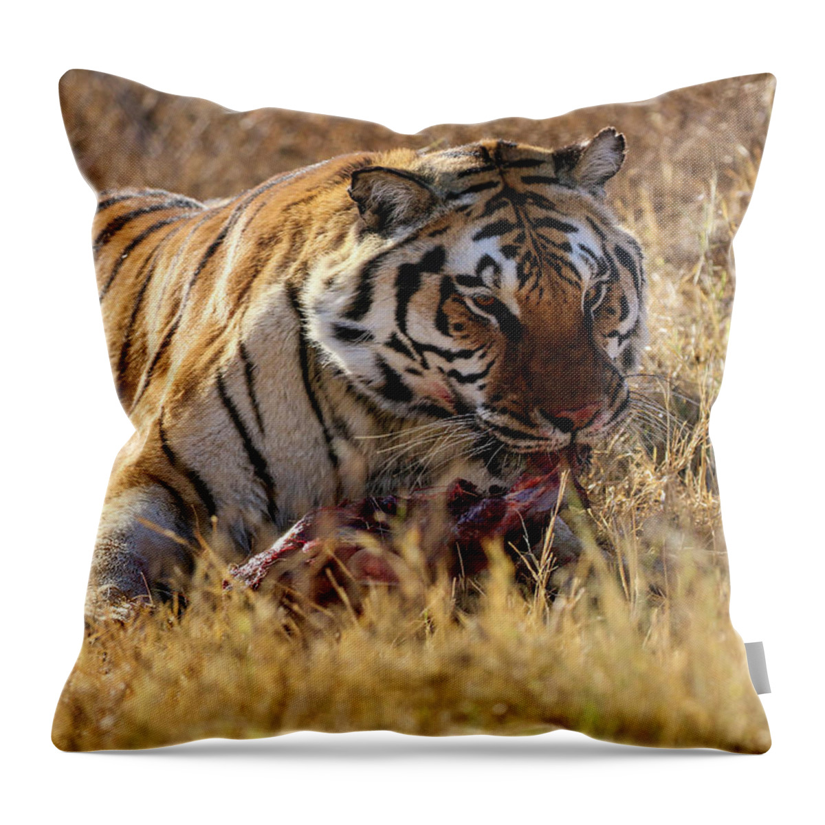 Arizona Throw Pillow featuring the photograph Siberian Tiger Eating by Dawn Richards