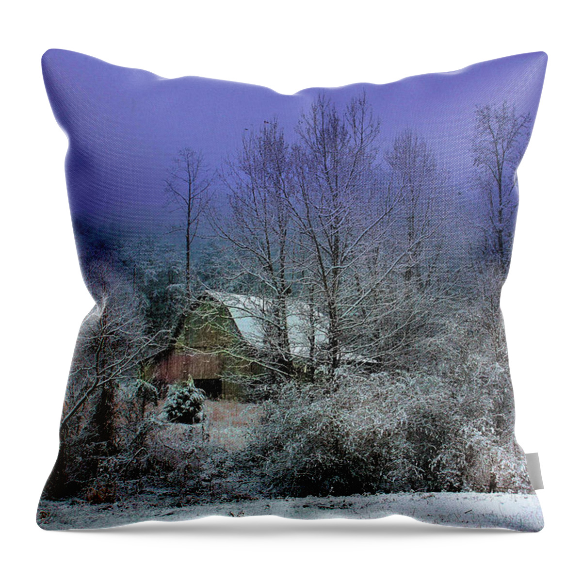 Christmas Throw Pillow featuring the photograph Silent Night by Rick Lipscomb