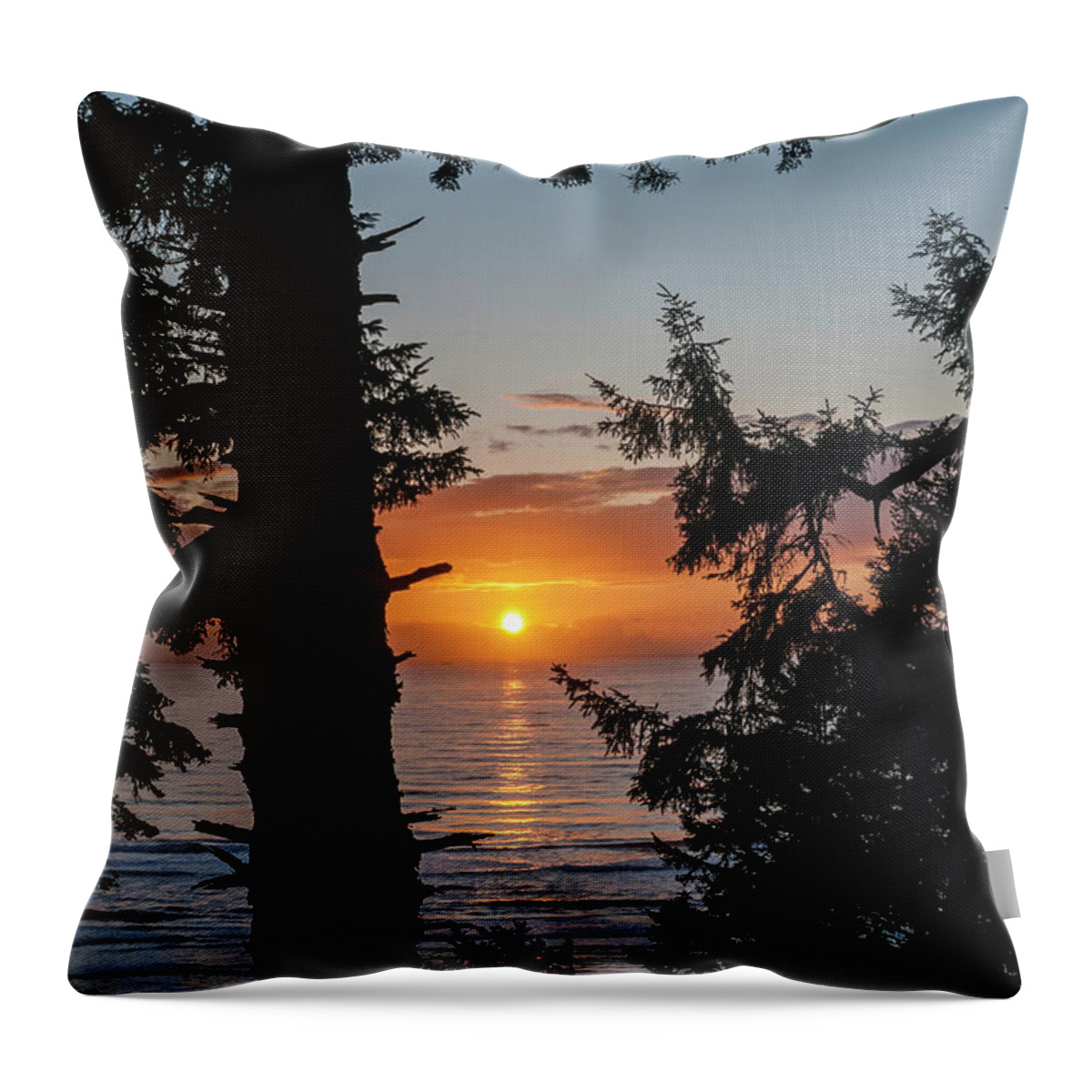 Afternoon Throw Pillow featuring the photograph Silhouettes of Spruce Trees                  by Robert Potts