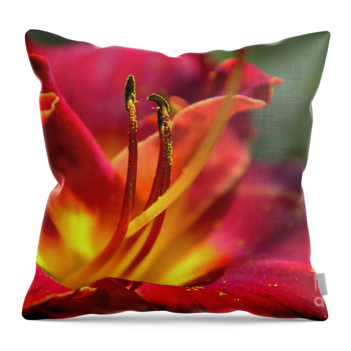 Red Throw Pillow featuring the photograph Silky Smooth and Dreamy by Amy Dundon