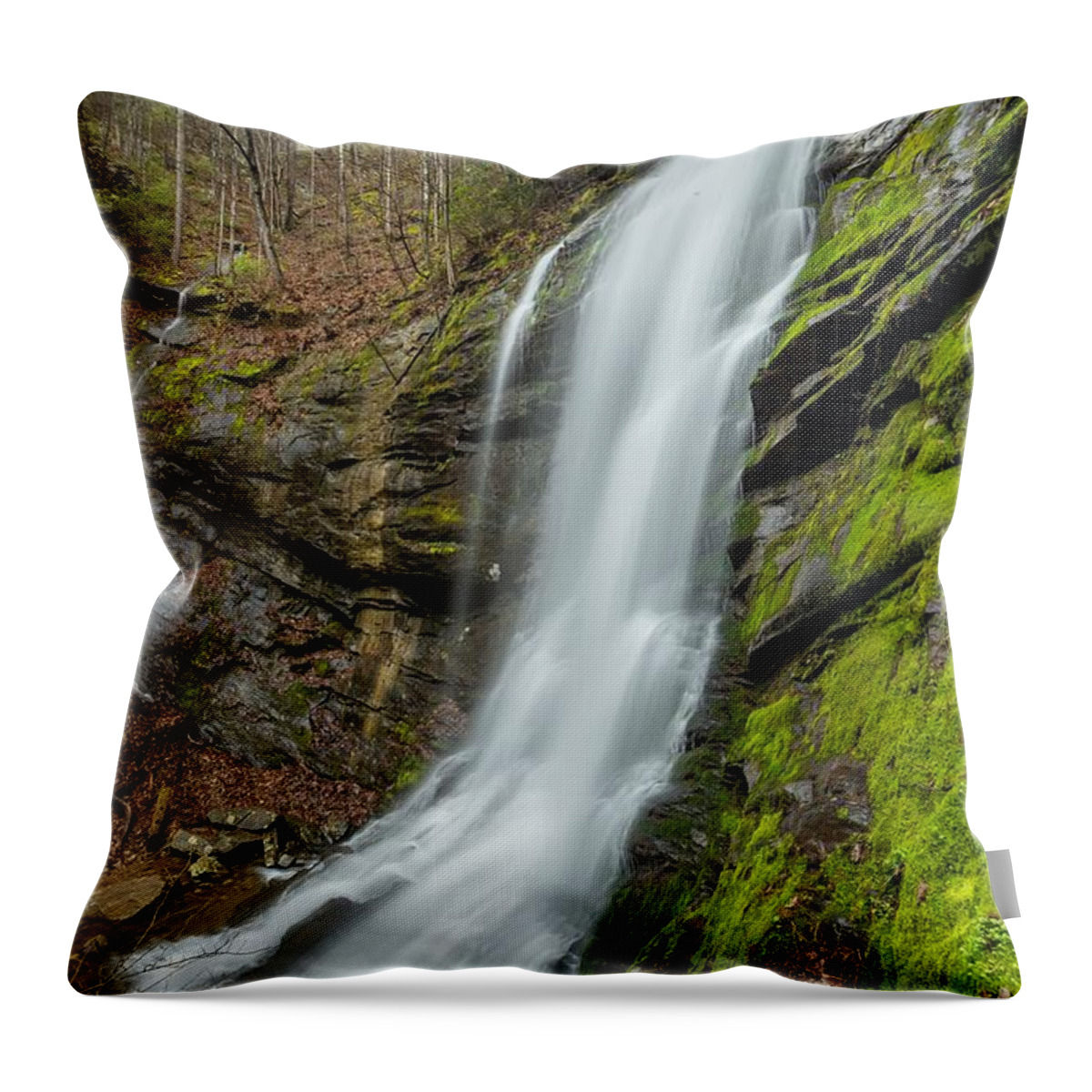 Sill Branch Falls Throw Pillow featuring the photograph Sill Branch Falls by Chris Berrier