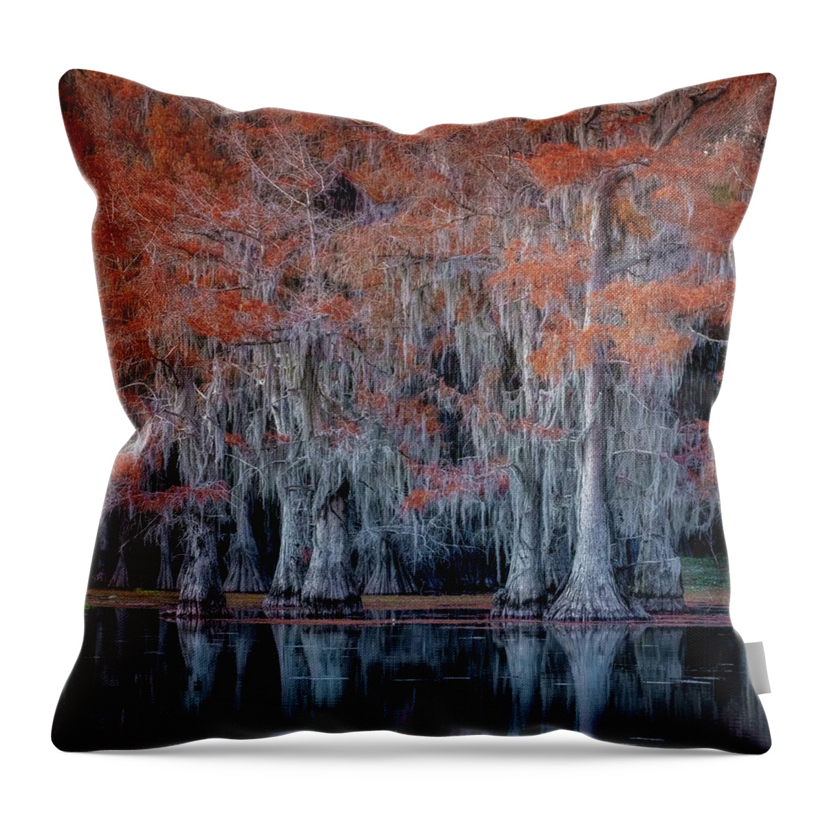 Caddo Throw Pillow featuring the photograph Silver and Orange by David Downs