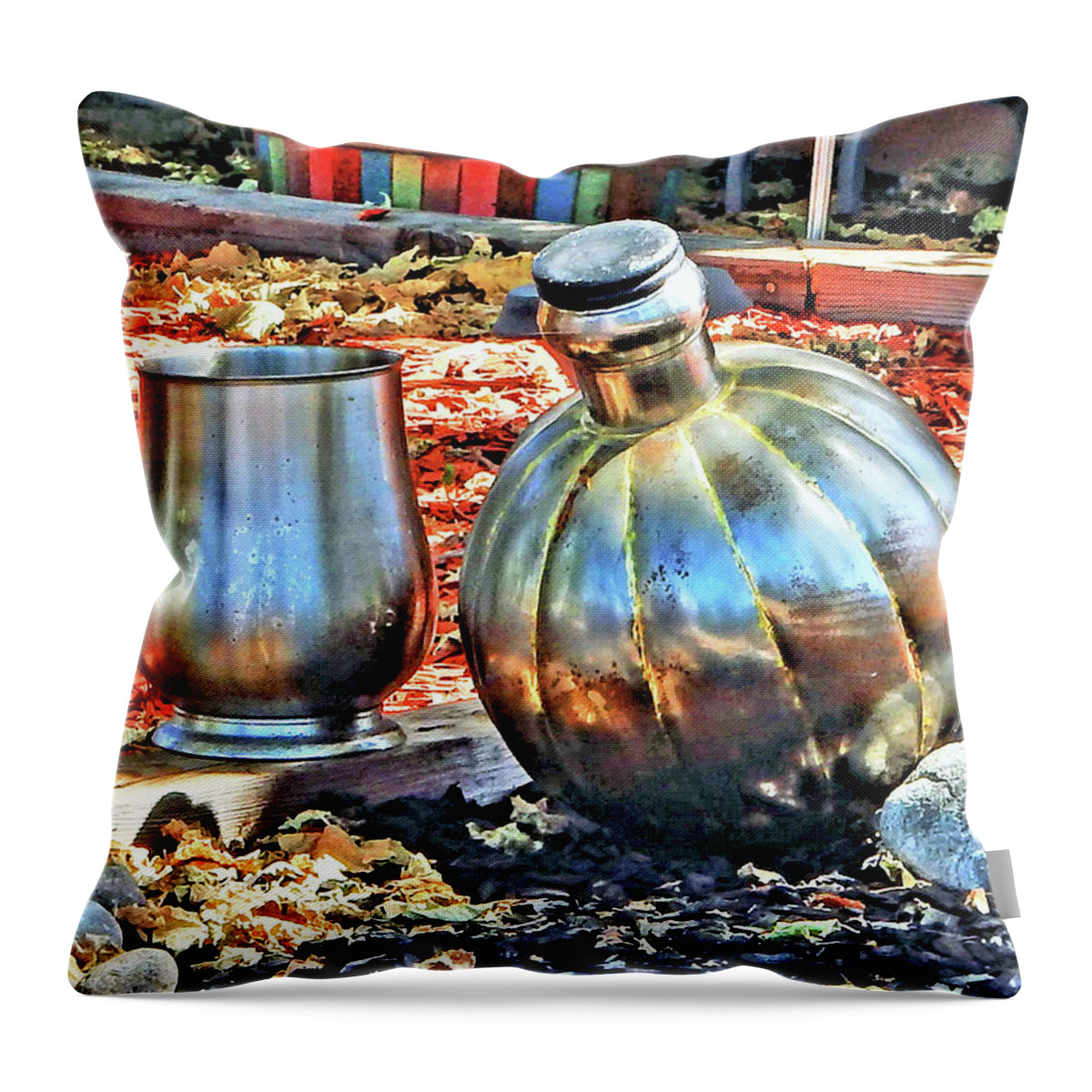 Color Throw Pillow featuring the photograph Silver Chalice And Jug by Andrew Lawrence