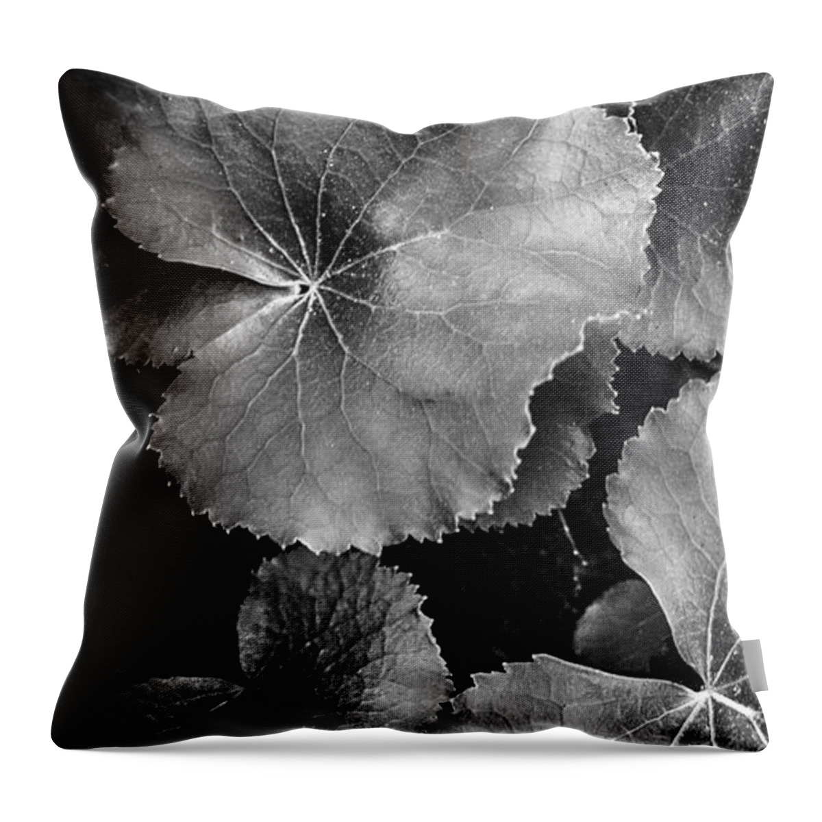 Georgia Throw Pillow featuring the photograph Silver Edged Leaves in the Forest I by Debra and Dave Vanderlaan