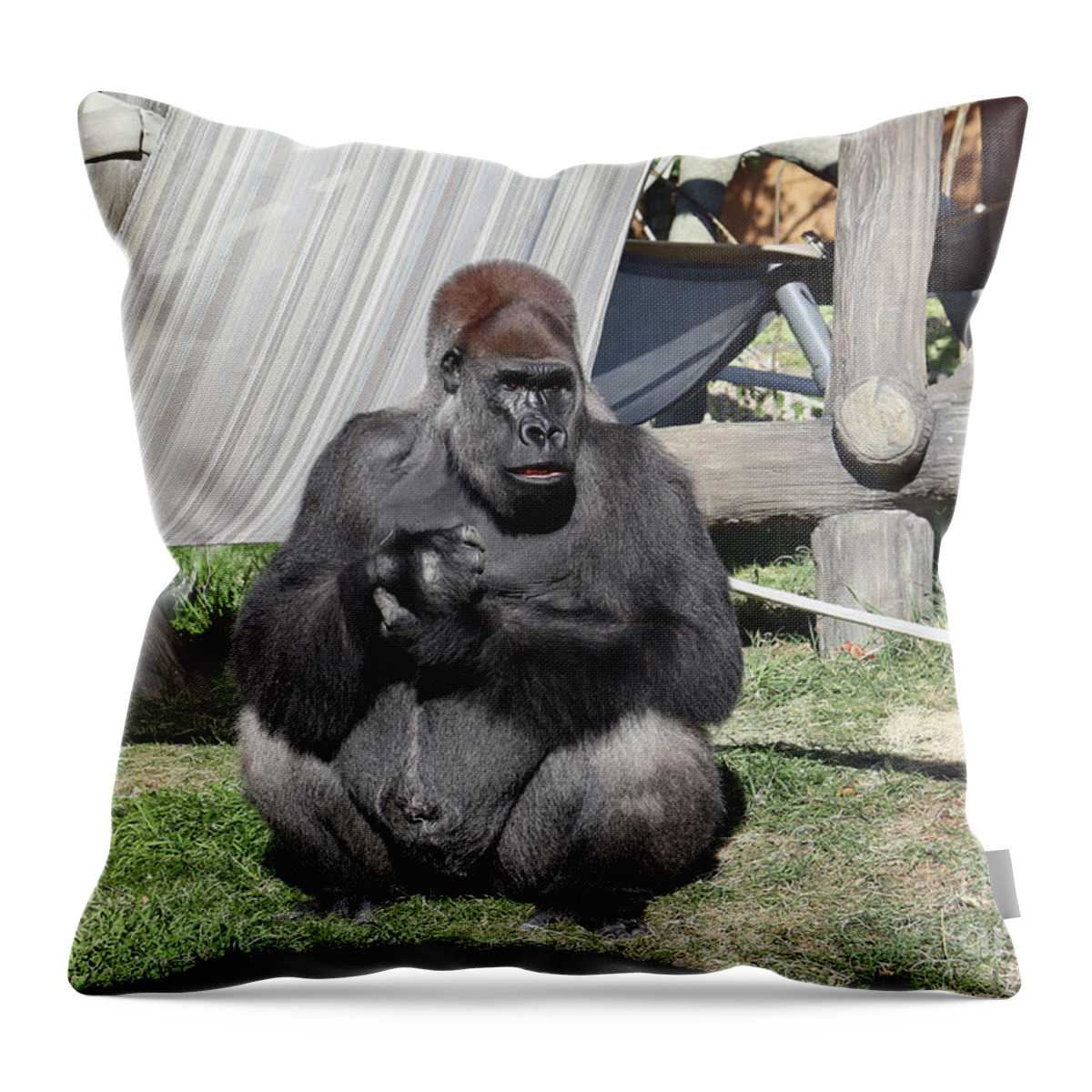 Gorilla Throw Pillow featuring the photograph Silverback 2 by Lisa Mutch