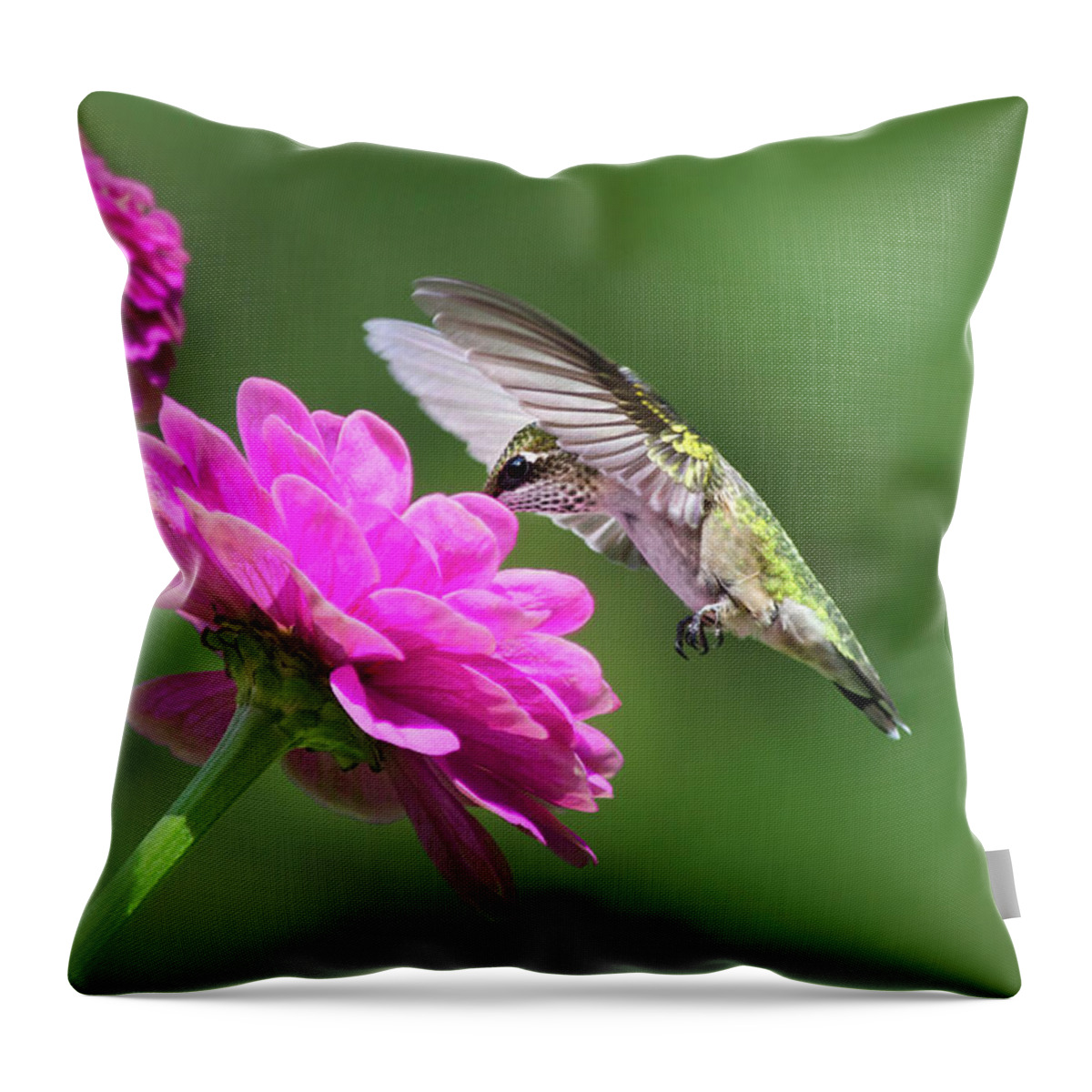 Hummingbird Throw Pillow featuring the photograph Simple Pleasure Hummingbird by Christina Rollo