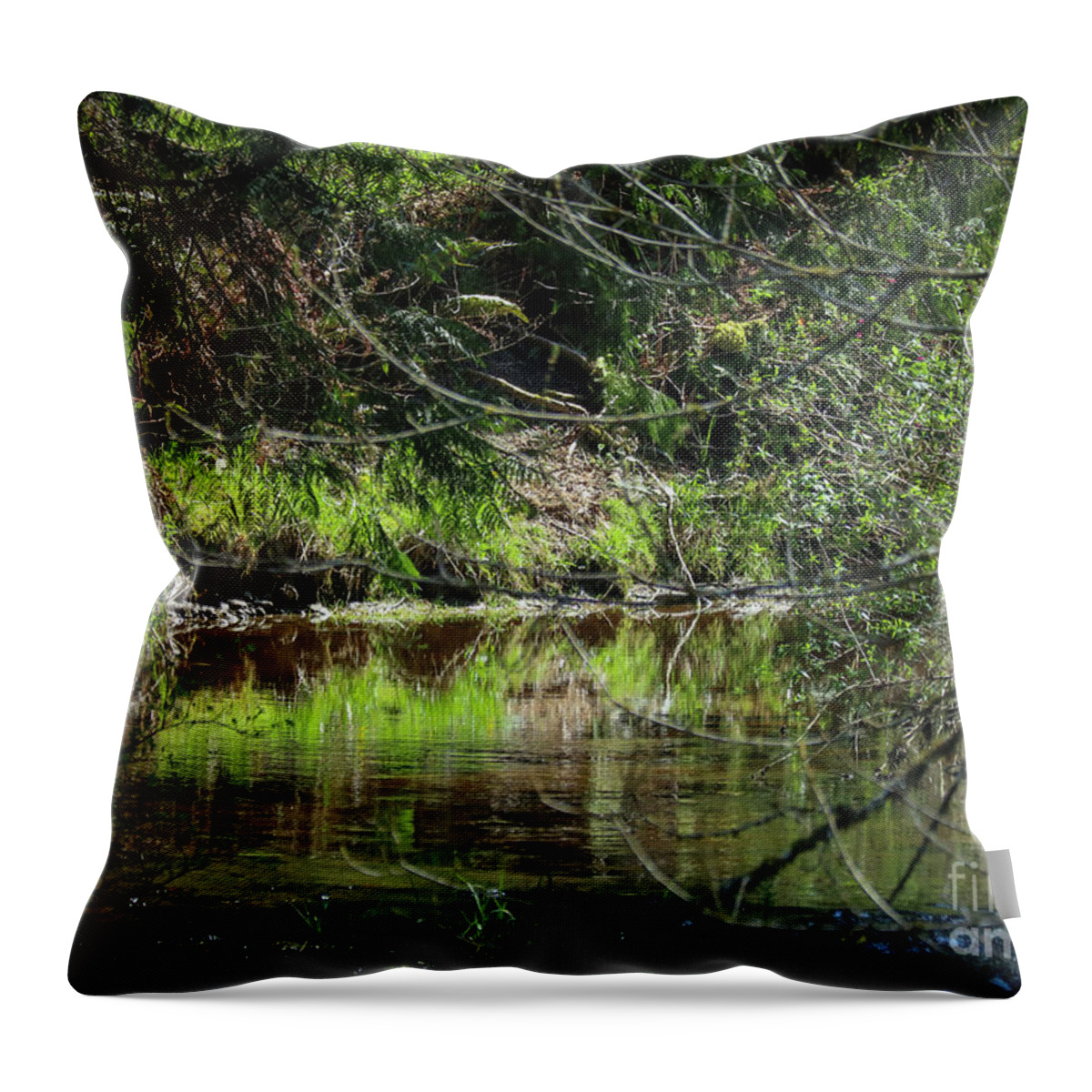 Pond Throw Pillow featuring the photograph Simple Reflections by D Lee