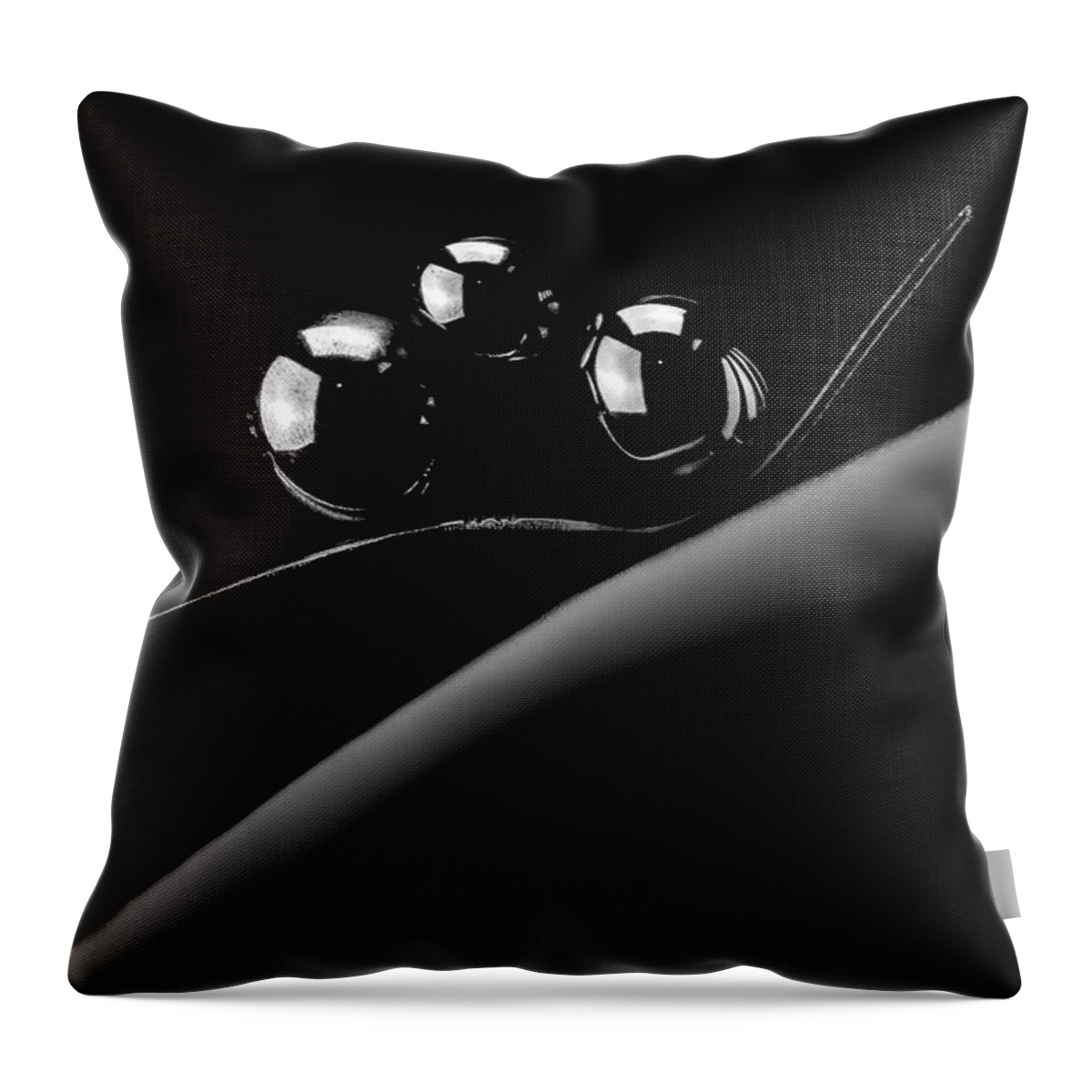 Published Throw Pillow featuring the photograph Simplicity III by Enrique Pelaez