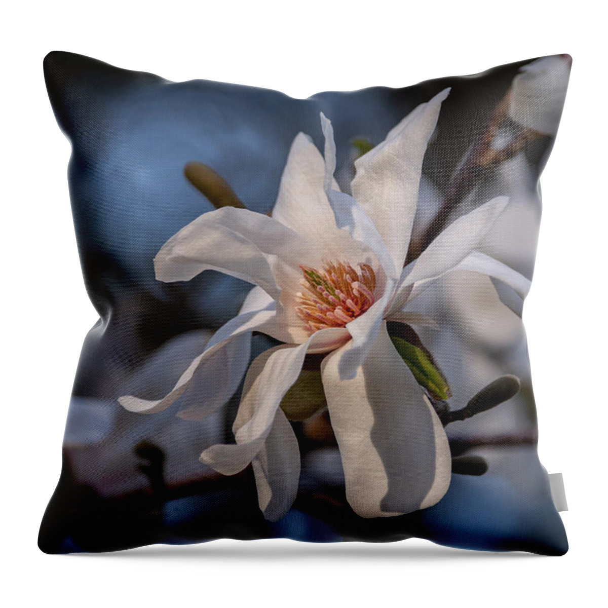 Magnolia Throw Pillow featuring the photograph Simply Elegant Bloom by Linda Bonaccorsi