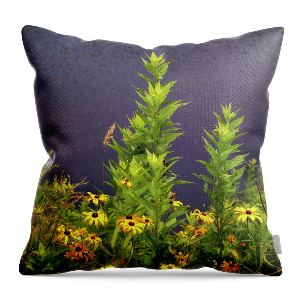 Wildflowers Throw Pillow featuring the photograph Sims Pond Blooms - Blue Ridge Parkway by Susan Rissi Tregoning