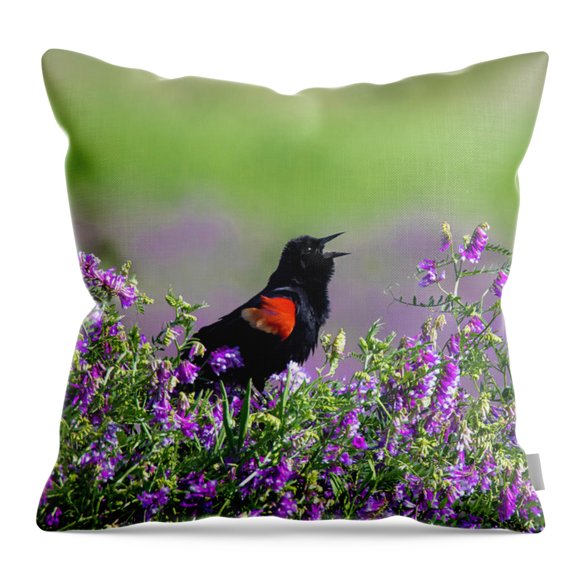 Purple Throw Pillow featuring the photograph Singing in Purple by Pam Rendall